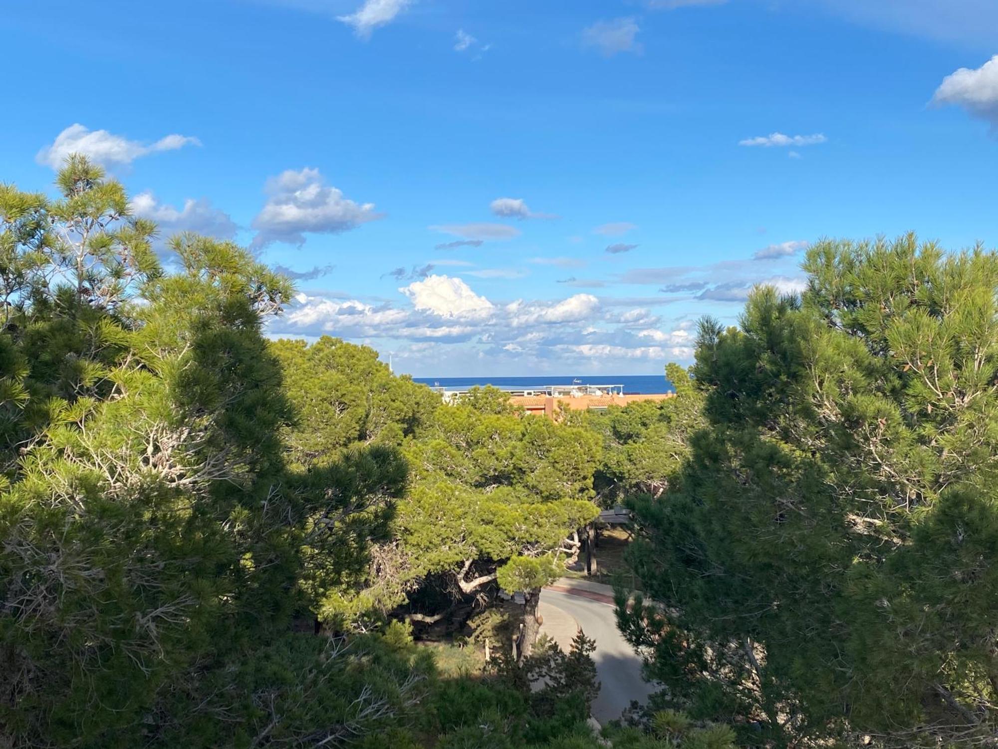 Appartement Nobe Es Pujols Proche Plage, Vue Mer エクステリア 写真